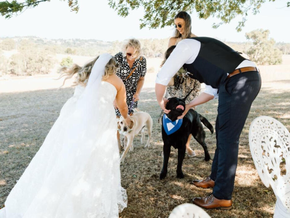 Naomi and Odette our goldie